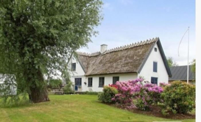 Pegasus Bed & Breakfast Hillerød Exteriör bild