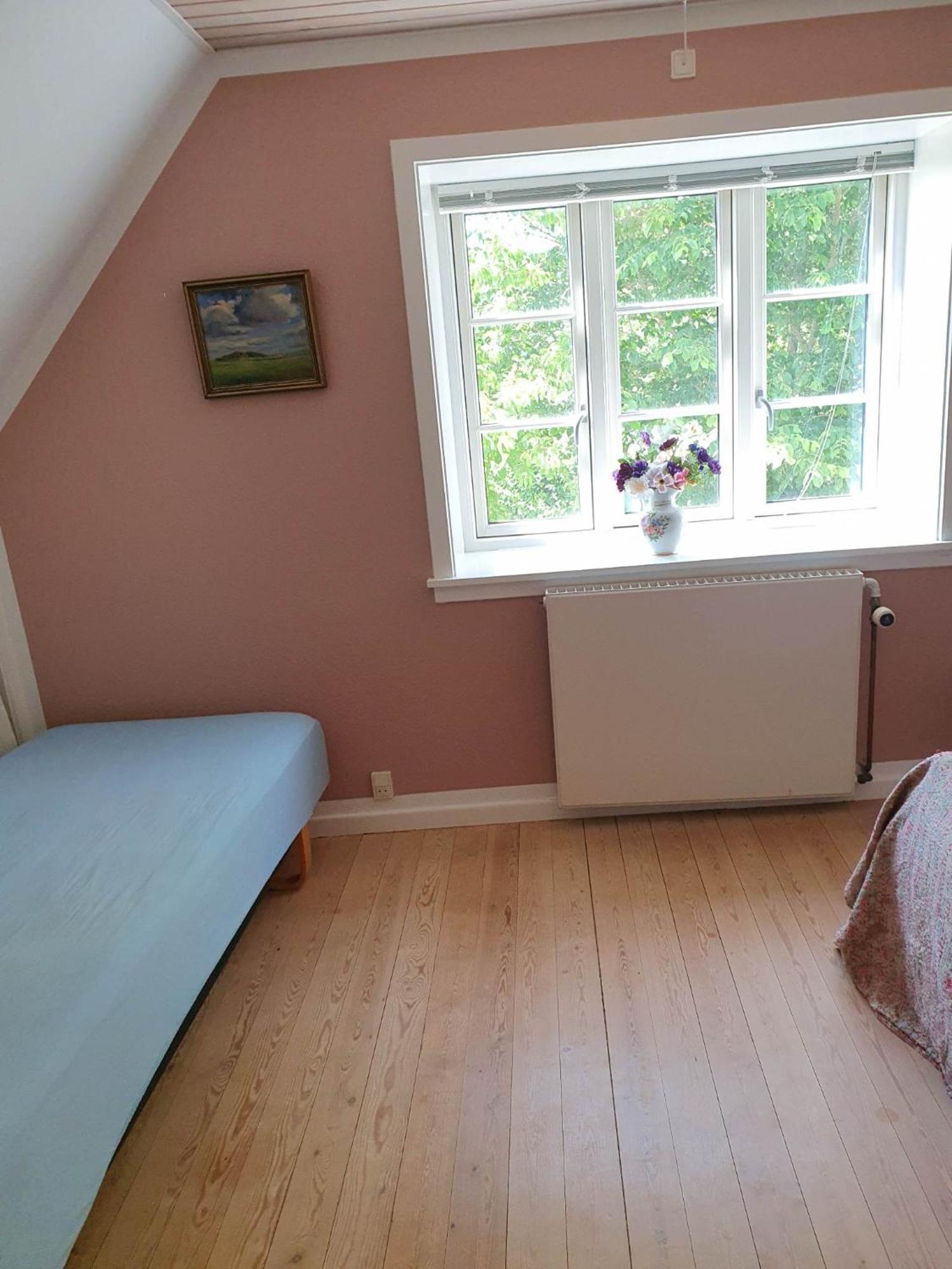 Pegasus Bed & Breakfast Hillerød Exteriör bild
